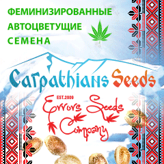 Купить дешевые семена конопли