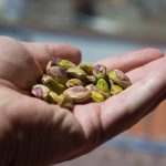 10 интересных фактов о семенах конопли